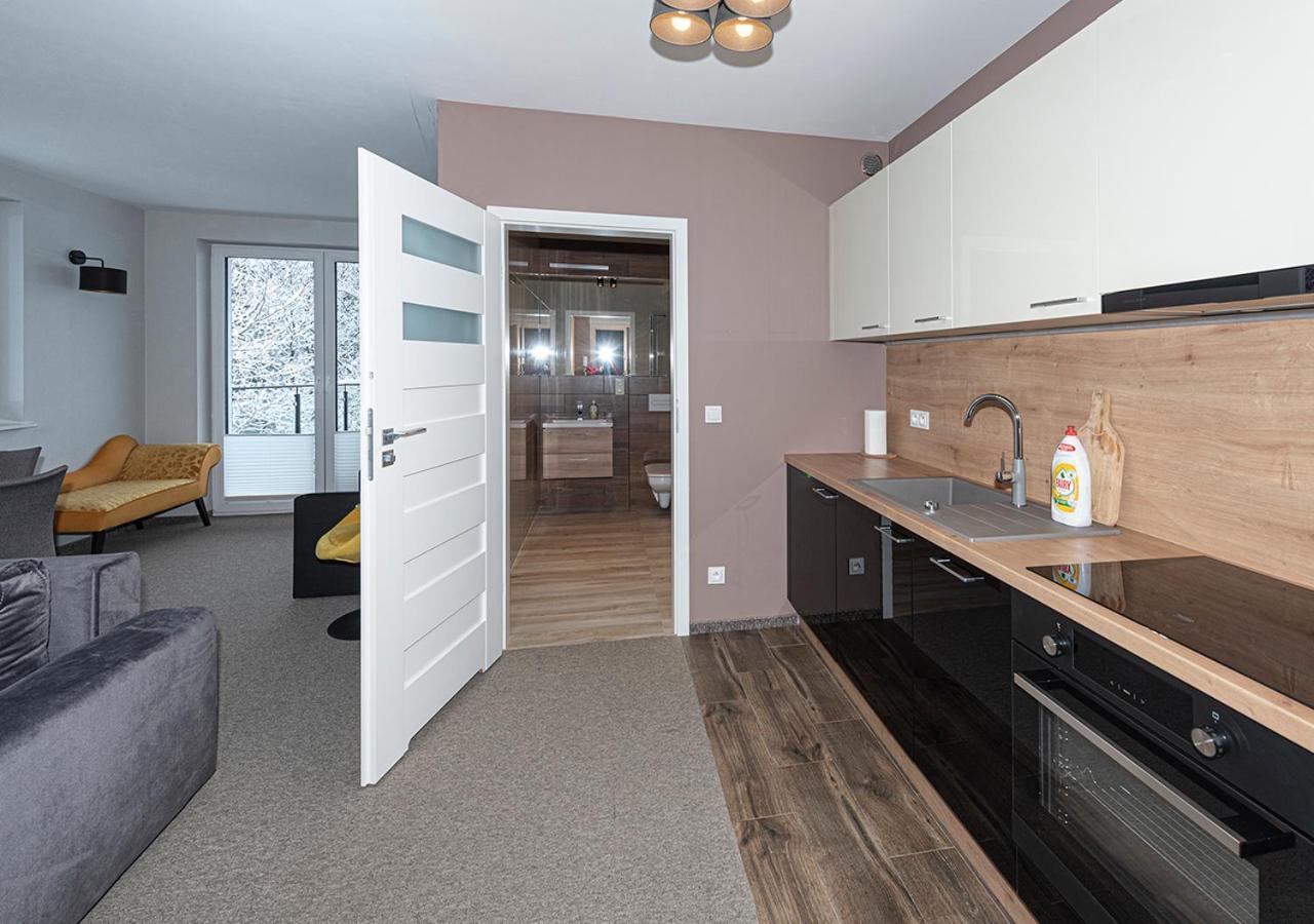 Apartament Piano Świeradów-Zdrój Zewnętrze zdjęcie
